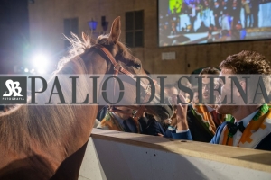 CENA-VITTORIA-SELVA-5-Ottobre-2019-340