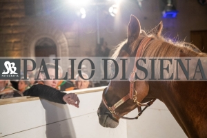 CENA-VITTORIA-SELVA-5-Ottobre-2019-342