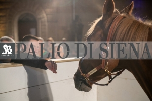 CENA-VITTORIA-SELVA-5-Ottobre-2019-343