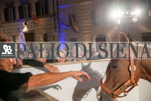 CENA-VITTORIA-SELVA-5-Ottobre-2019-345