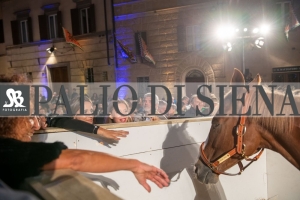 CENA-VITTORIA-SELVA-5-Ottobre-2019-346
