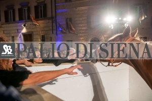 CENA-VITTORIA-SELVA-5-Ottobre-2019-347