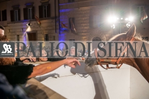 CENA-VITTORIA-SELVA-5-Ottobre-2019-351