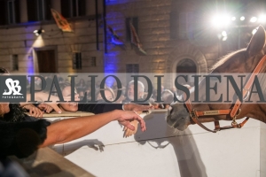 CENA-VITTORIA-SELVA-5-Ottobre-2019-352