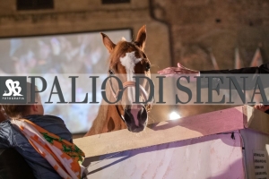 CENA-VITTORIA-SELVA-5-Ottobre-2019-369