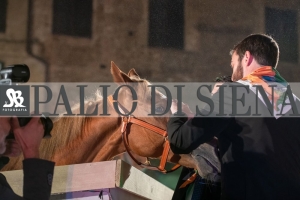 CENA-VITTORIA-SELVA-5-Ottobre-2019-371