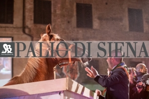 CENA-VITTORIA-SELVA-5-Ottobre-2019-375