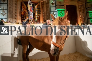 CENA-VITTORIA-SELVA-5-Ottobre-2019-385