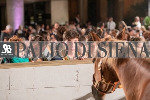 CENA-VITTORIA-SELVA-5-Ottobre-2019-405