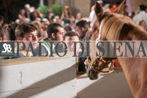 CENA-VITTORIA-SELVA-5-Ottobre-2019-411