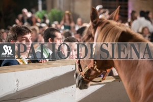 CENA-VITTORIA-SELVA-5-Ottobre-2019-412