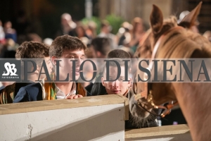 CENA-VITTORIA-SELVA-5-Ottobre-2019-416