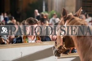 CENA-VITTORIA-SELVA-5-Ottobre-2019-417