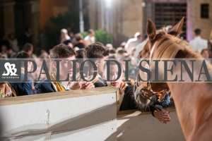 CENA-VITTORIA-SELVA-5-Ottobre-2019-418