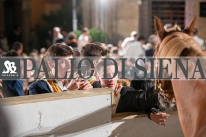 CENA-VITTORIA-SELVA-5-Ottobre-2019-419
