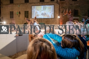 CENA-VITTORIA-SELVA-5-Ottobre-2019-430