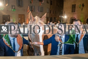 CENA-VITTORIA-SELVA-5-Ottobre-2019-478