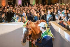 CENA-VITTORIA-SELVA-5-Ottobre-2019-129