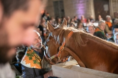 CENA-VITTORIA-SELVA-5-Ottobre-2019-134