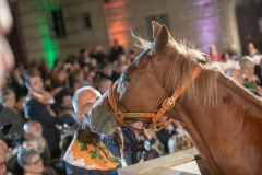 CENA-VITTORIA-SELVA-5-Ottobre-2019-135