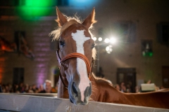 CENA-VITTORIA-SELVA-5-Ottobre-2019-136