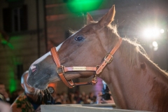 CENA-VITTORIA-SELVA-5-Ottobre-2019-139