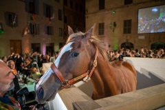 CENA-VITTORIA-SELVA-5-Ottobre-2019-140