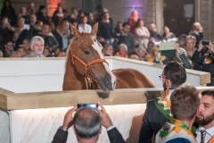 CENA-VITTORIA-SELVA-5-Ottobre-2019-151