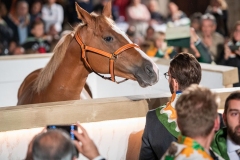 CENA-VITTORIA-SELVA-5-Ottobre-2019-152