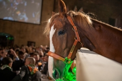 CENA-VITTORIA-SELVA-5-Ottobre-2019-162