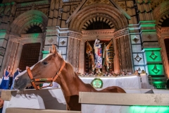 CENA-VITTORIA-SELVA-5-Ottobre-2019-176