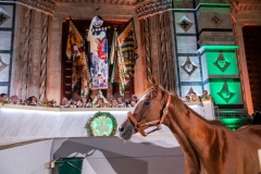 CENA-VITTORIA-SELVA-5-Ottobre-2019-177