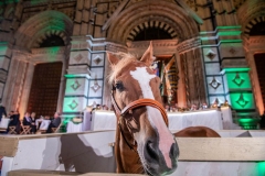 CENA-VITTORIA-SELVA-5-Ottobre-2019-178