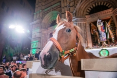 CENA-VITTORIA-SELVA-5-Ottobre-2019-179