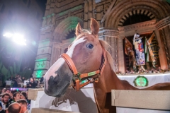 CENA-VITTORIA-SELVA-5-Ottobre-2019-180