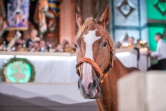 CENA-VITTORIA-SELVA-5-Ottobre-2019-184
