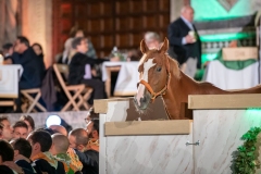 CENA-VITTORIA-SELVA-5-Ottobre-2019-185