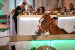 CENA-VITTORIA-SELVA-5-Ottobre-2019-190