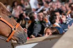 CENA-VITTORIA-SELVA-5-Ottobre-2019-249