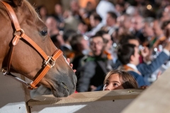 CENA-VITTORIA-SELVA-5-Ottobre-2019-250