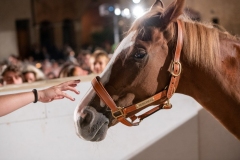 CENA-VITTORIA-SELVA-5-Ottobre-2019-297