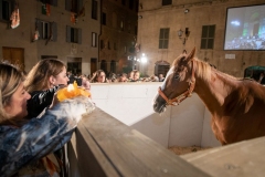 CENA-VITTORIA-SELVA-5-Ottobre-2019-298