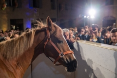 CENA-VITTORIA-SELVA-5-Ottobre-2019-339