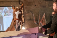 CENA-VITTORIA-SELVA-5-Ottobre-2019-370