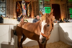 CENA-VITTORIA-SELVA-5-Ottobre-2019-385