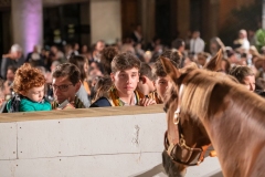 CENA-VITTORIA-SELVA-5-Ottobre-2019-405