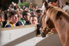 CENA-VITTORIA-SELVA-5-Ottobre-2019-411