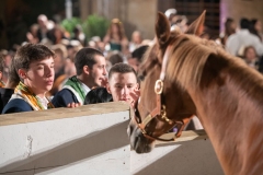 CENA-VITTORIA-SELVA-5-Ottobre-2019-412