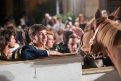 CENA-VITTORIA-SELVA-5-Ottobre-2019-415