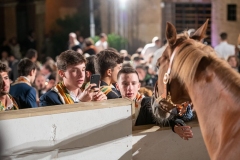 CENA-VITTORIA-SELVA-5-Ottobre-2019-418